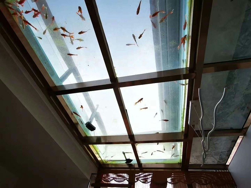 阳光房顶部景观鱼池渗漏水维修